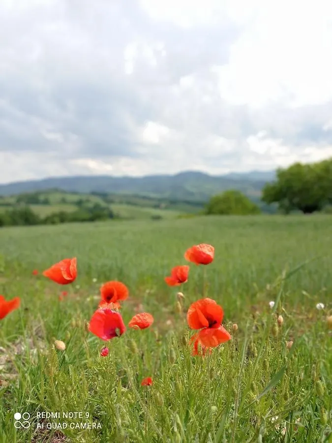 Bed & Breakfast Villa La Palazzina Agazzano