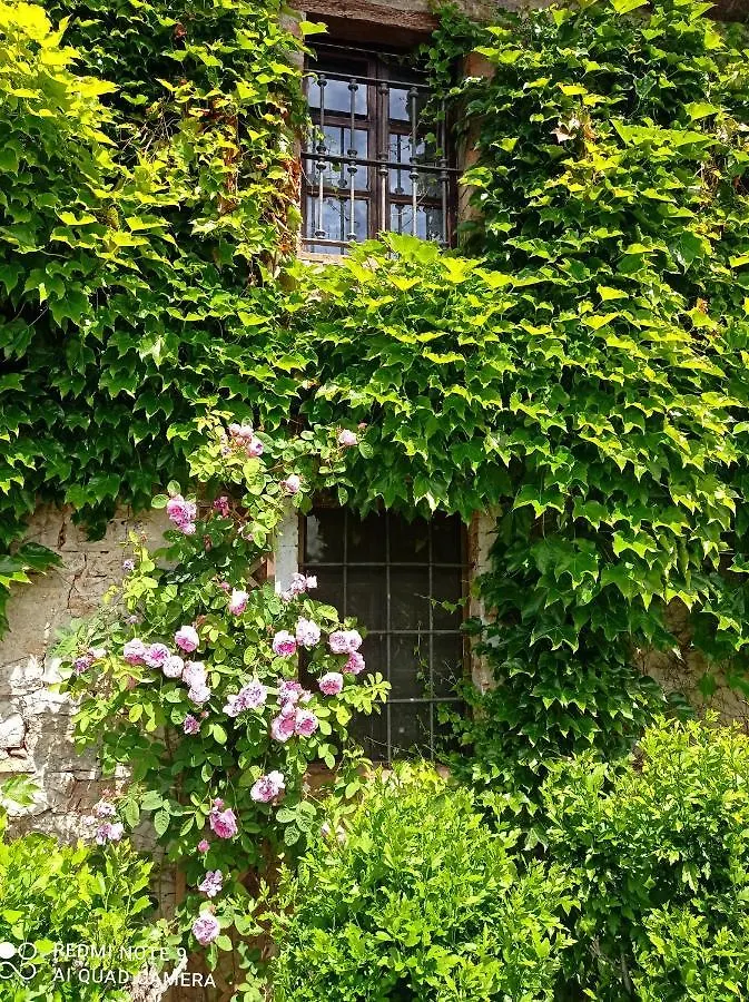Villa La Palazzina Agazzano 0*,  Italia