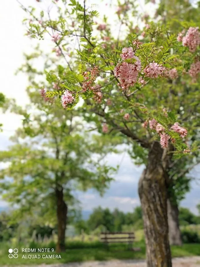 Villa La Palazzina Agazzano Bed & Breakfast