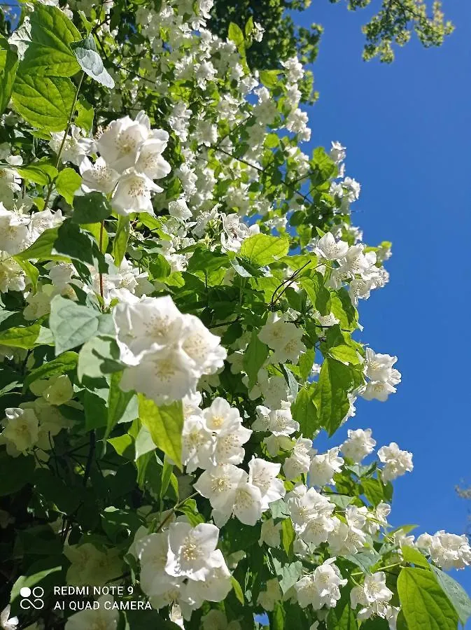 Villa La Palazzina Agazzano Bed & Breakfast