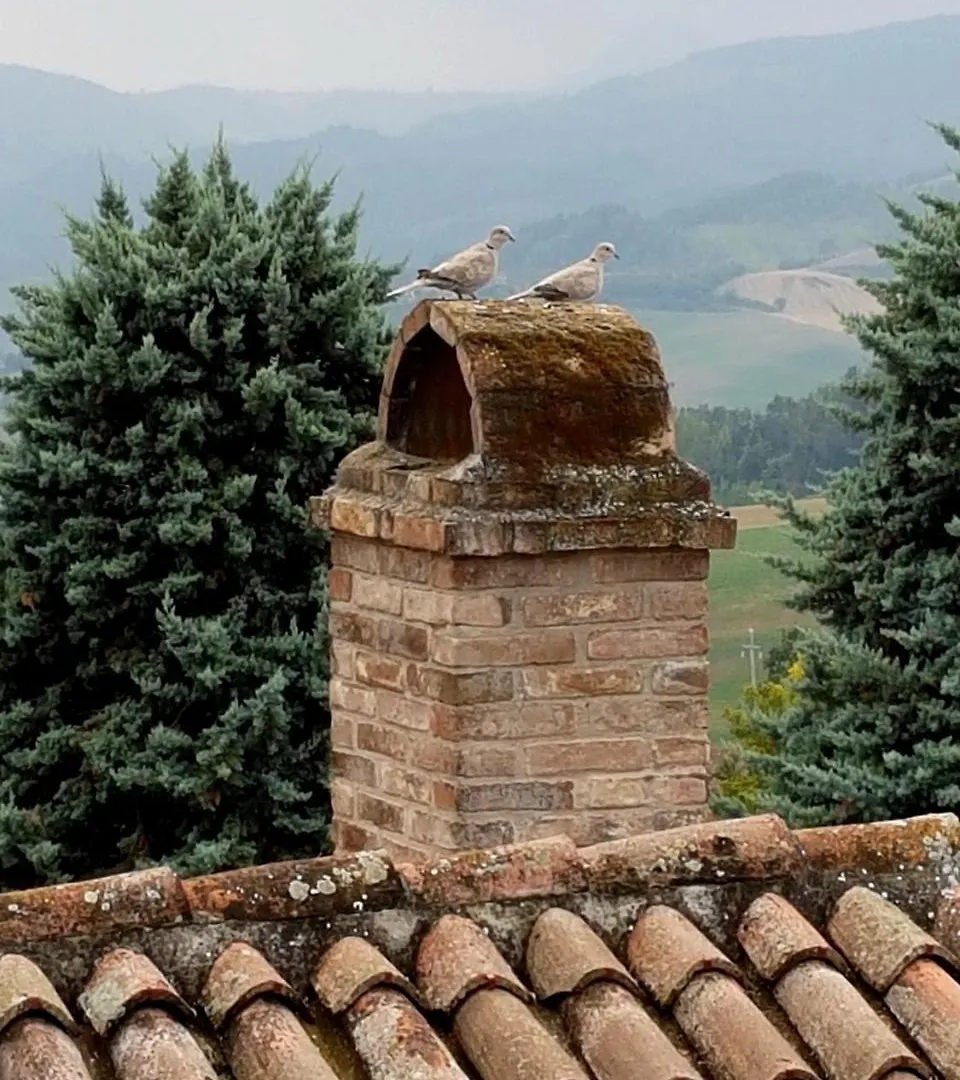 Villa La Palazzina Agazzano