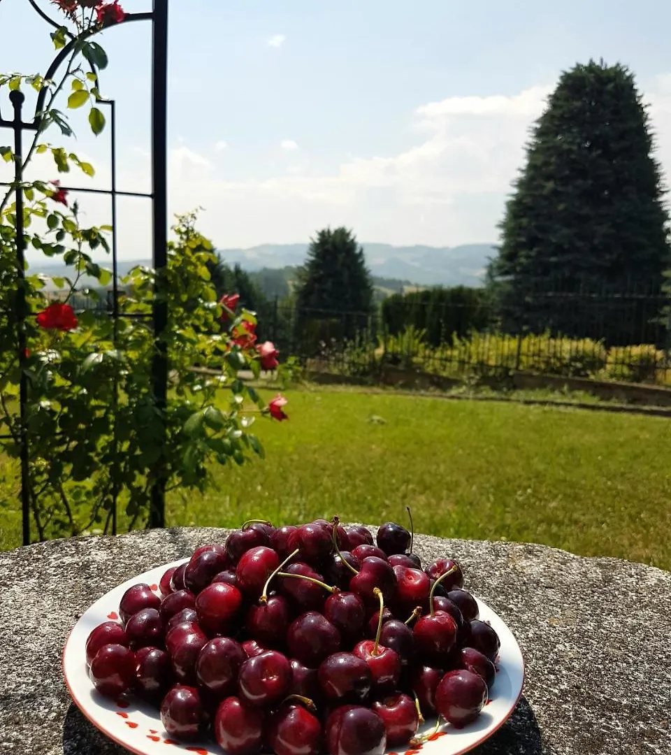 Bed & Breakfast Villa La Palazzina Agazzano